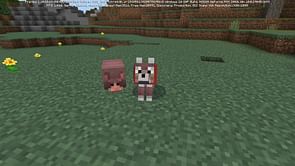 Minecraft's latest beta finally adds armadillos and wolf armor