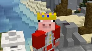 Top 10 Minecraft players