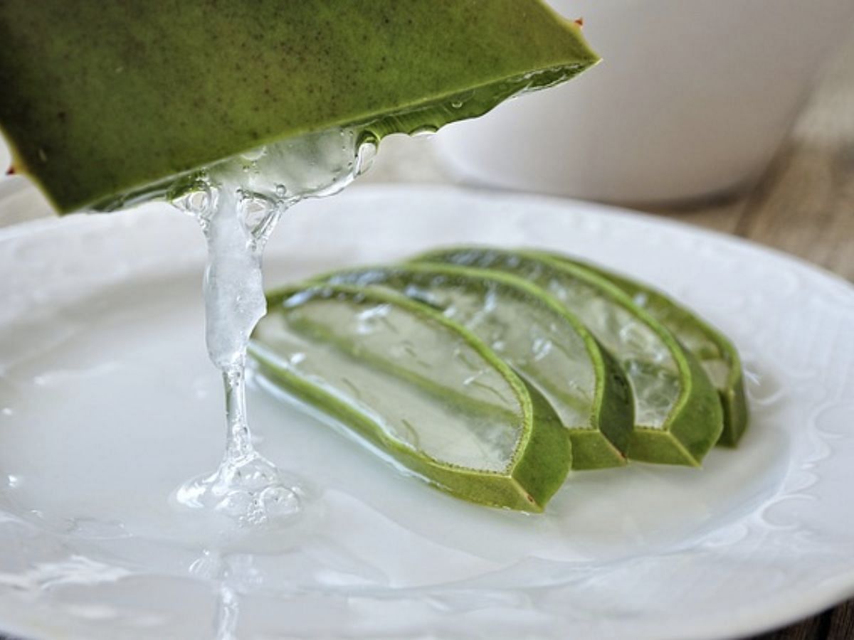 Homemade aloe vera juice (Image via Pixabay)