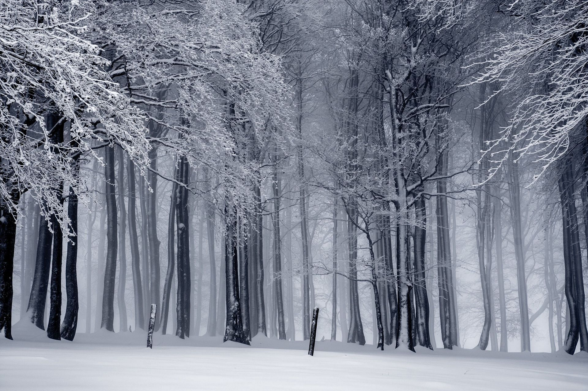 Heart attacks in cold weather (image sourced via Pexels / Photo by pixabay)