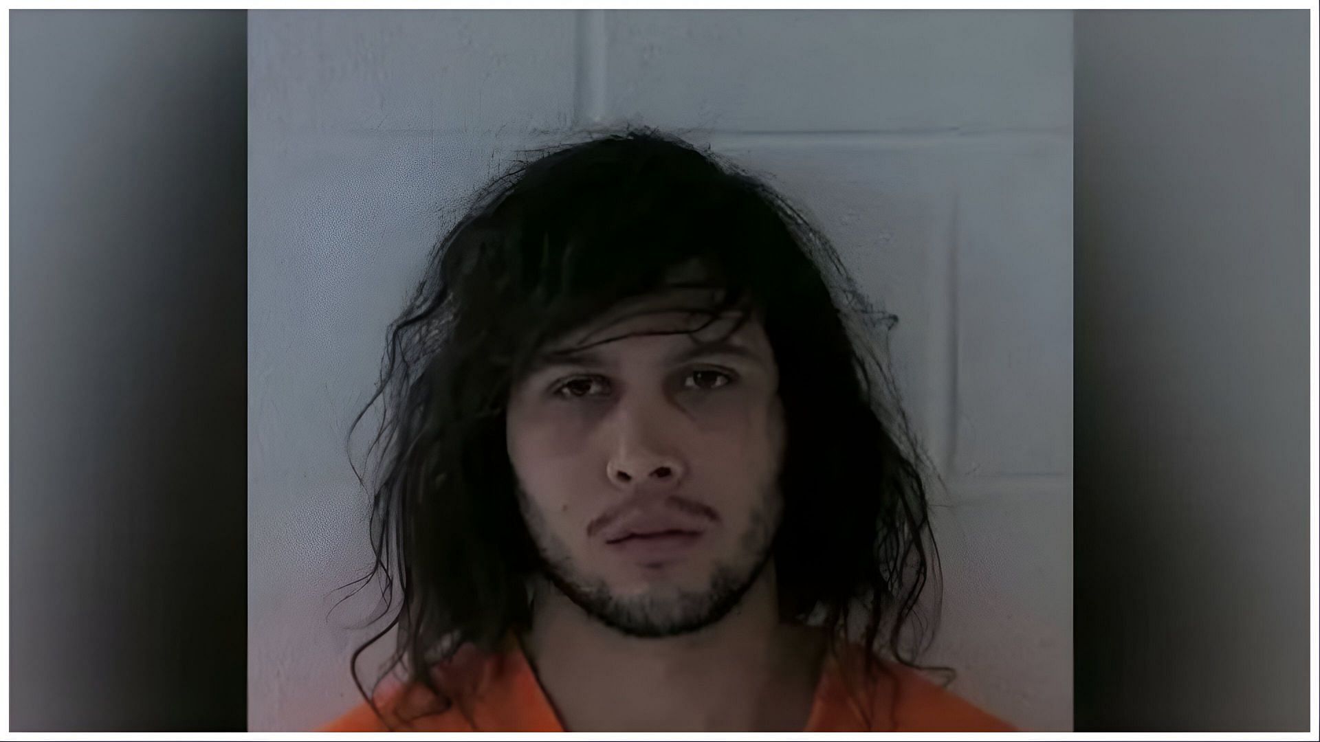 Nestor Joel Lujan Flores has been arrested in connection to crashing into a pedestrian, (Image via DA Just Asking/X) 