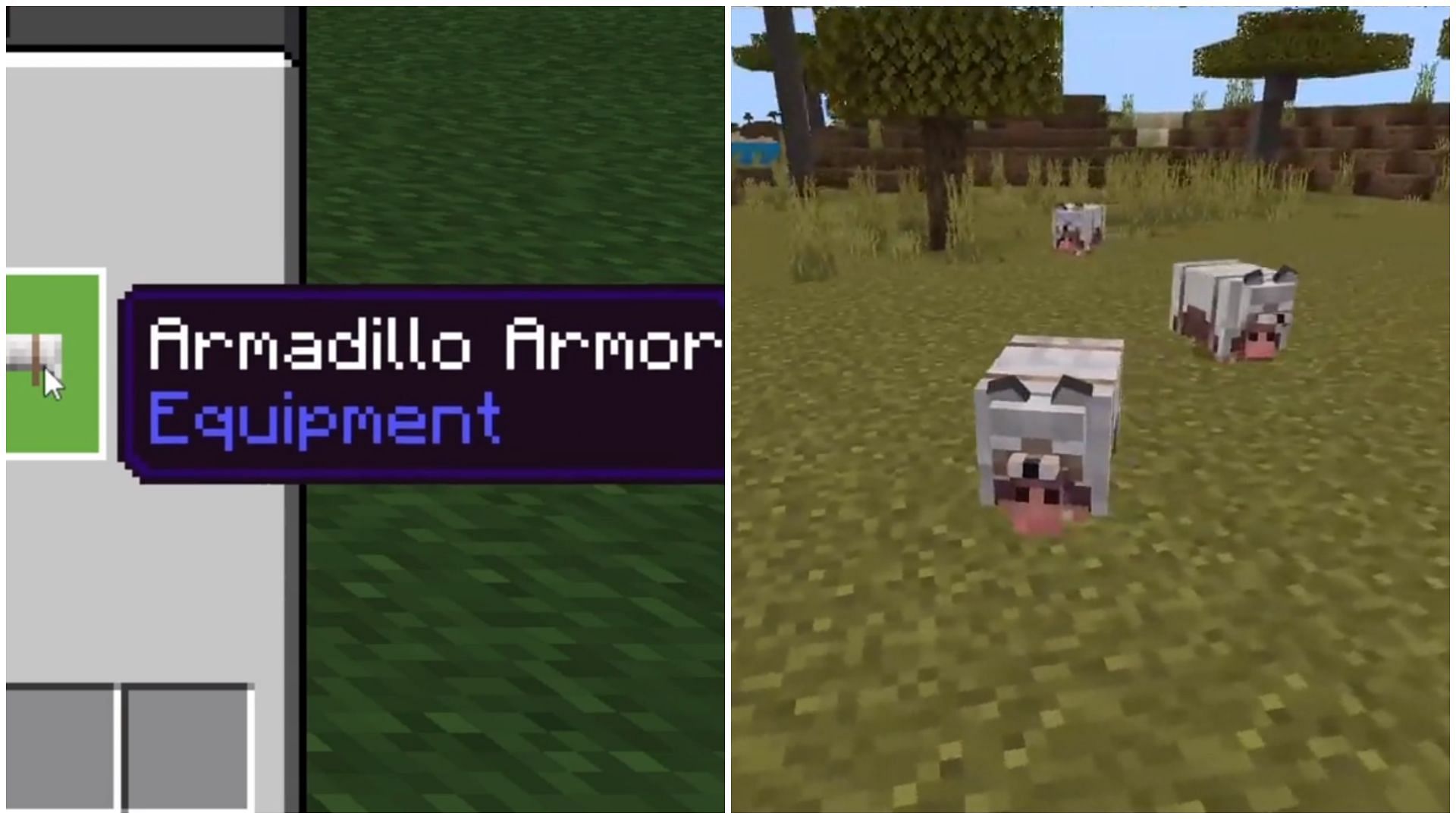 Minecraft Redditor terrifyingly kills wolves to create armadillo armor (Image via Reddit/u/JayCubTruth)