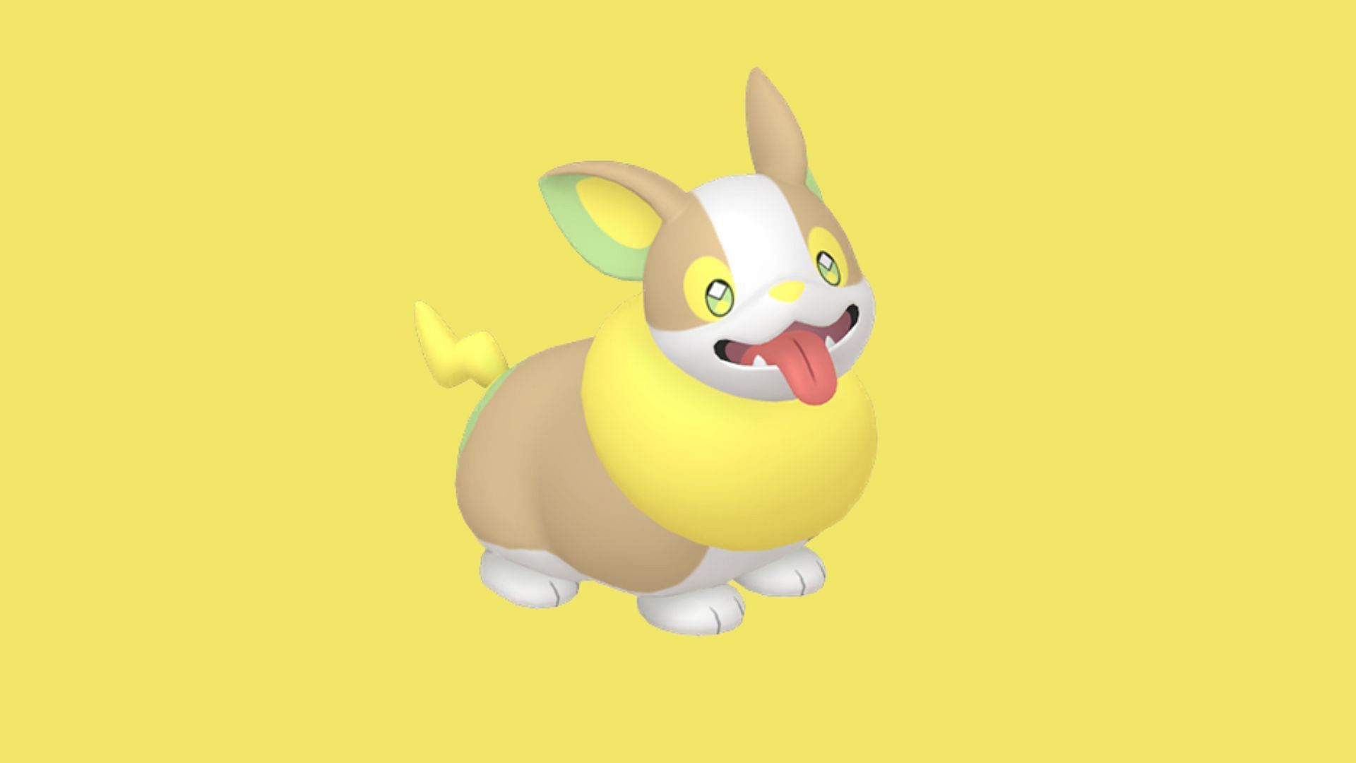 Yamper (Image via The Pokemon Company)