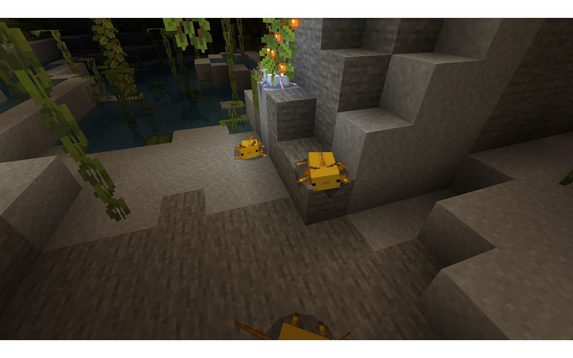 Playful axolotls will keep the player company in these caves (Image via Mojang)