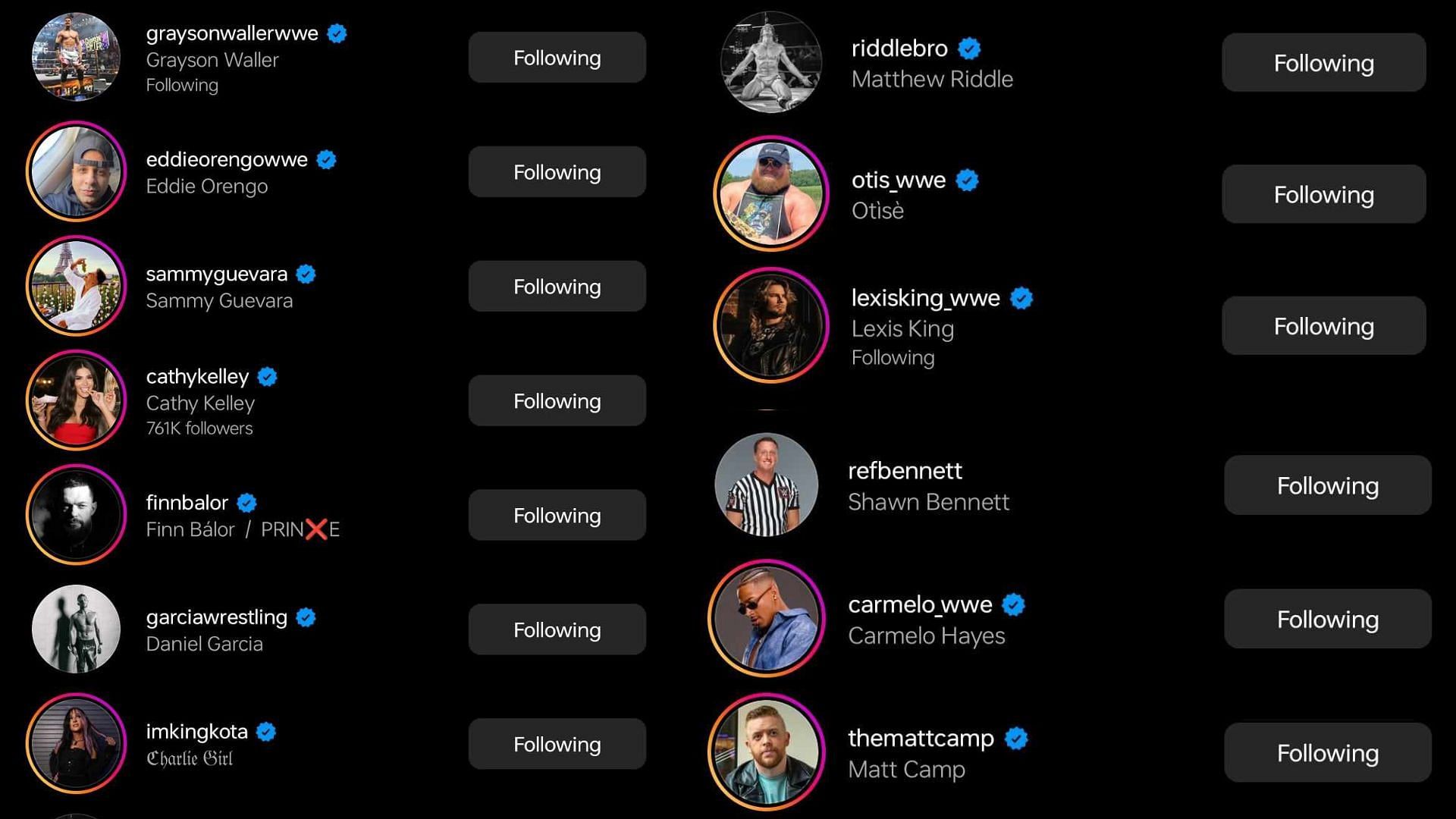 Screenshot of stars' likes on Instagram