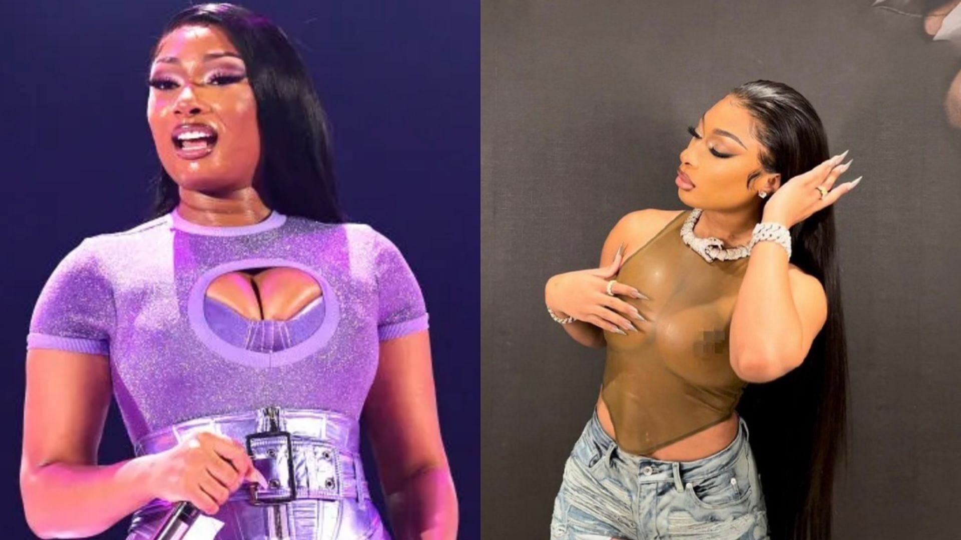 Internet claps back at Megan Thee Stallion for her comment about Spotify users (Image via snip from X/@MeganStats)