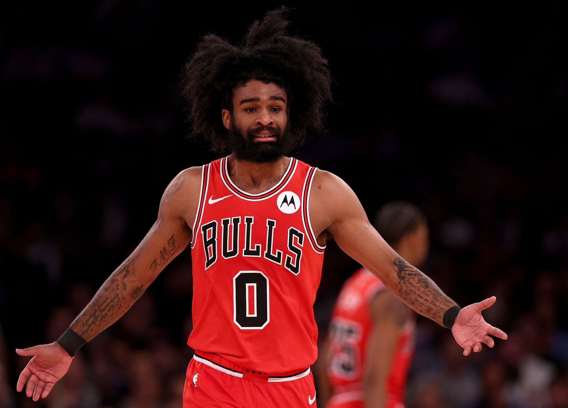 Coby White Chicago Bulls