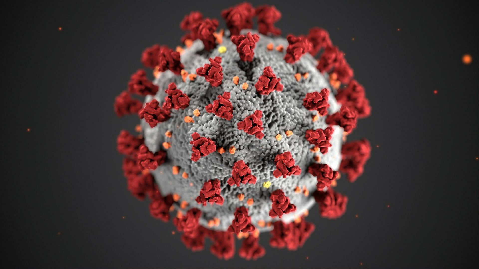 Virus (Image via Unsplash/CDC)