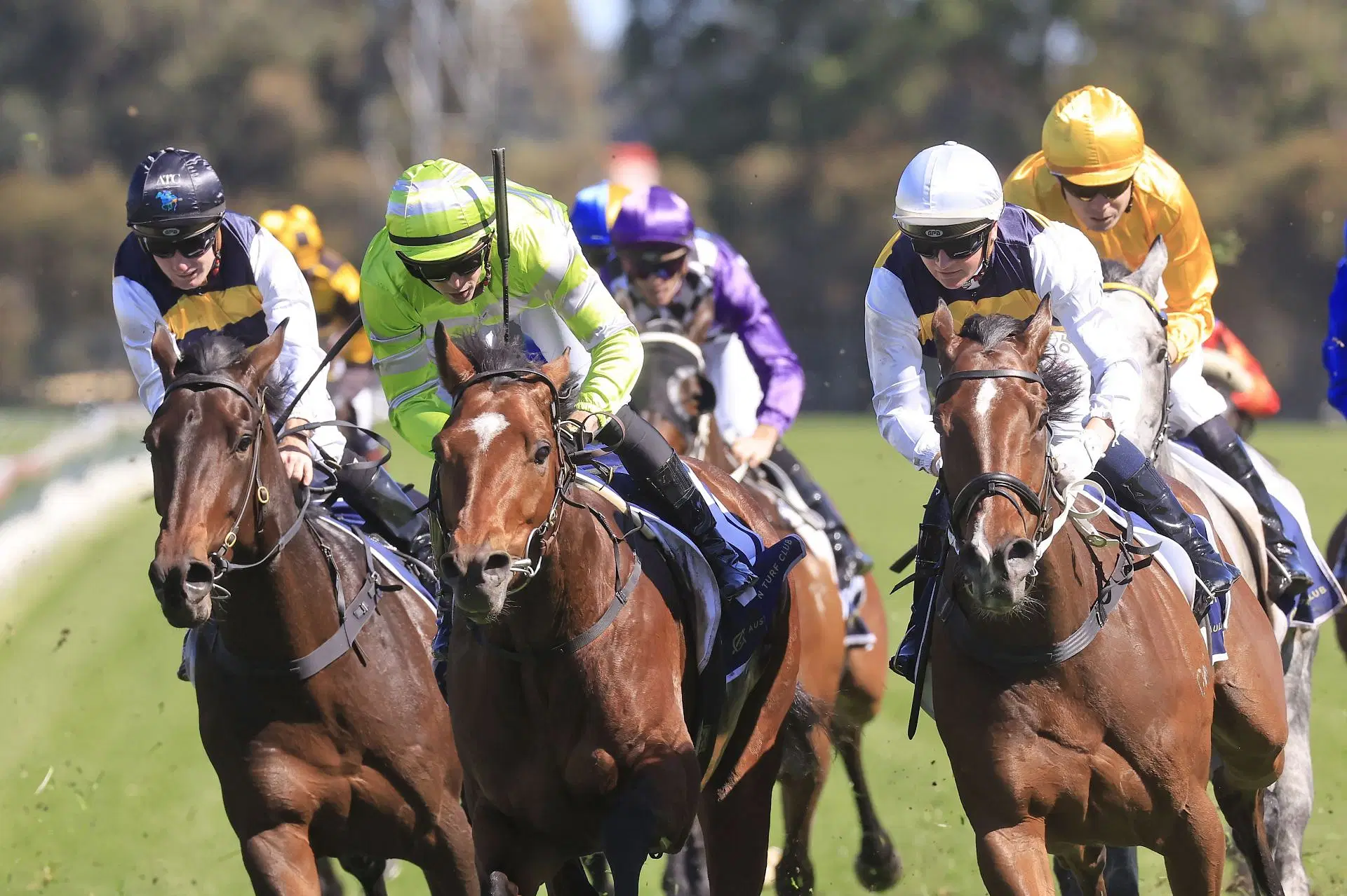 Sydney Racing: Golden Eagle Day