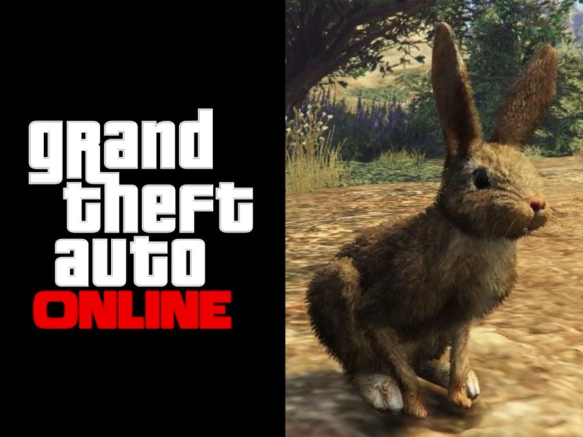 Rabbits have the highest spawn locations in GTA Online (Image via GTA Wiki)