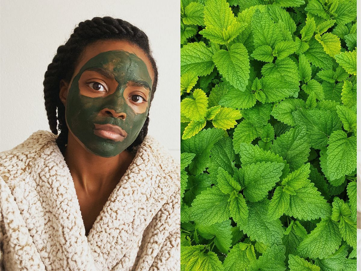 5 DIY mint face packs for glowing skin