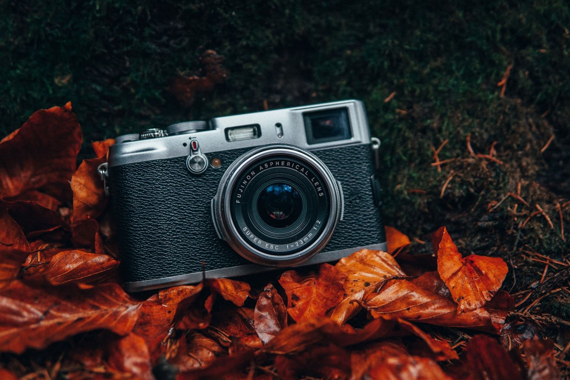 Fujifilm X100V Review: Is It Worth the Hype in 2024? - Wanderlust Pulse