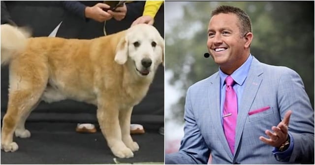Why Does Herbstreit Travel With His Dog: Heartwarming Reasons Revealed