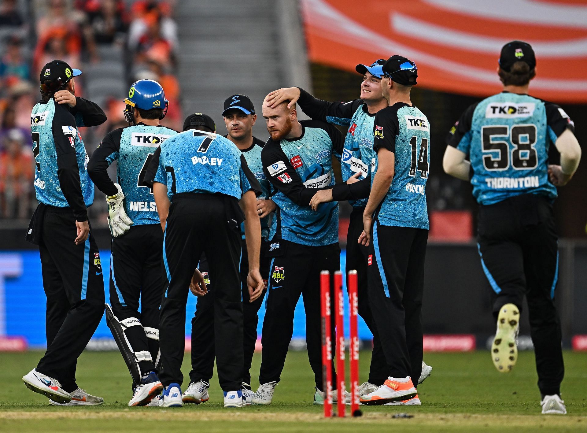 BBL - The Knockout: Perth Scorchers v Adelaide Strikers