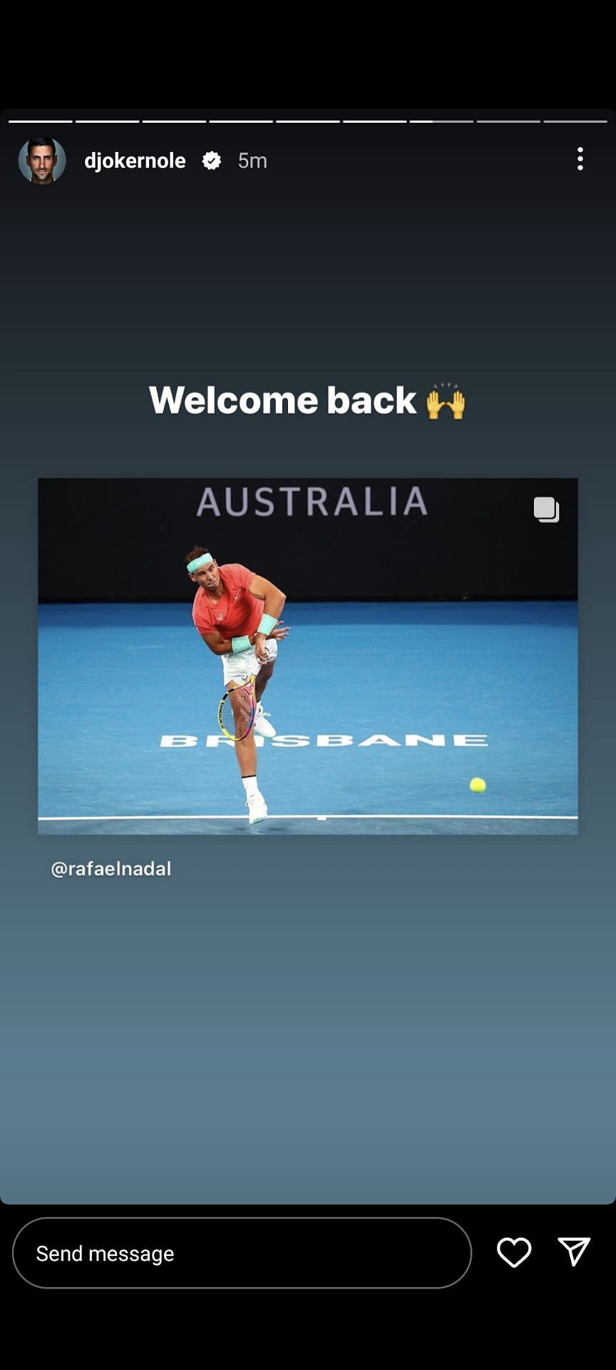 Djokovic's Instagram story