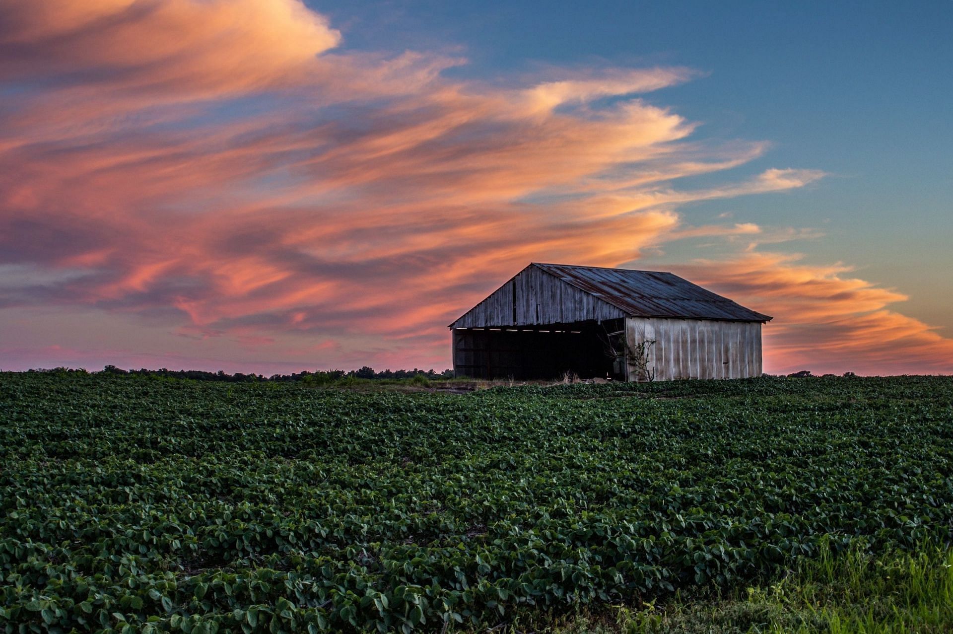 Indiana in the Unhealthiest States in America (Image via Unsplash/Owen Rupp)