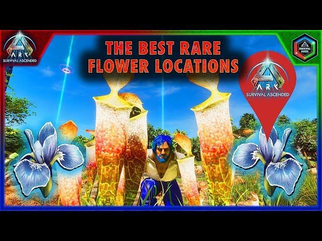 Best Rare Flower locations in ARK Survival Ascended