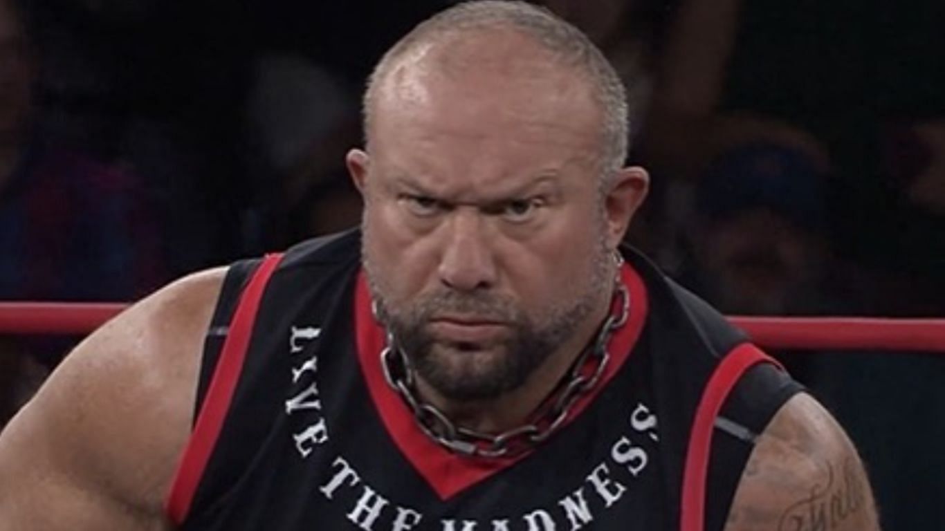 Bully Ray is a multiple time Tag Team Champion in WWE