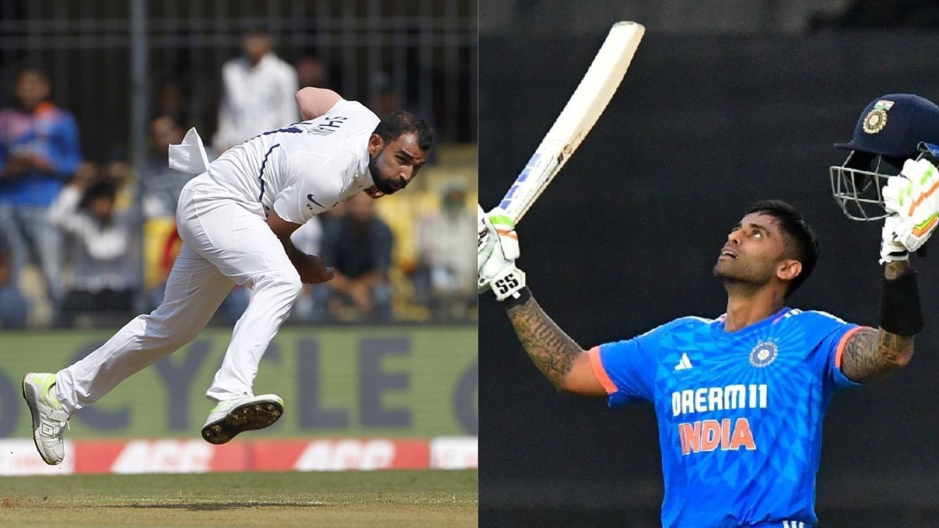 Mohammed Shami Suryakumar Yadav 