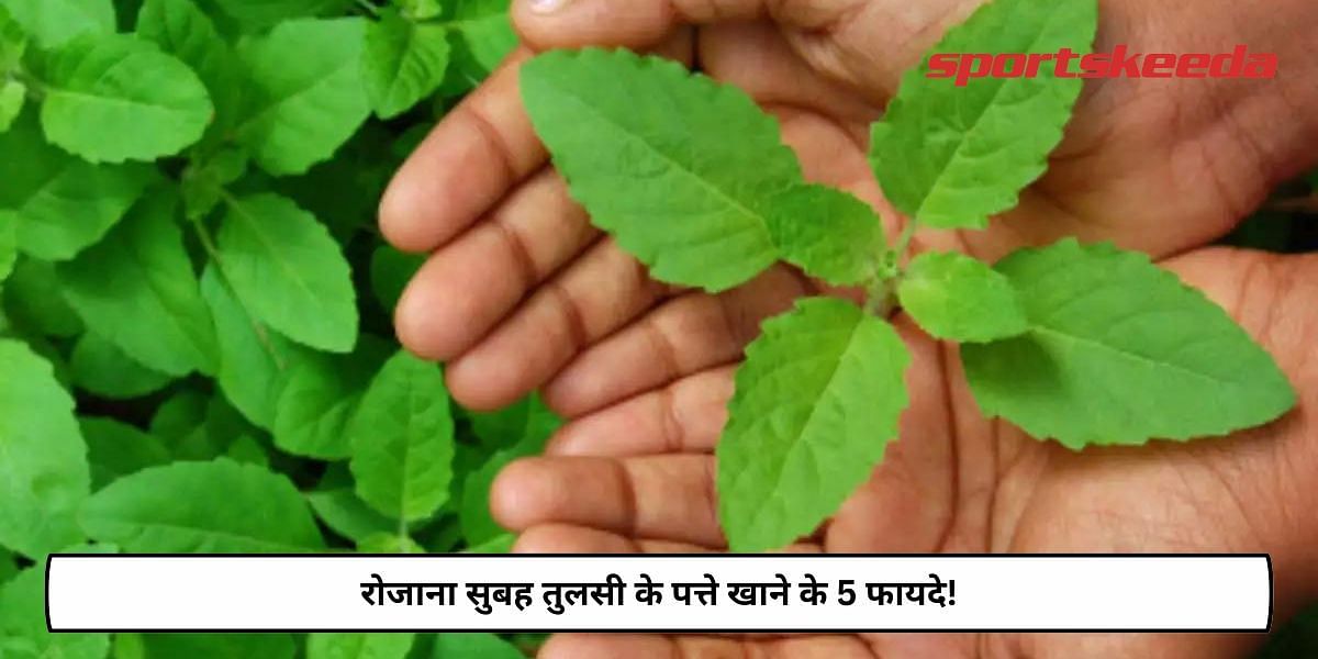 5 Benefits Of Eating Tulsi Leaves Everyday In Morning!