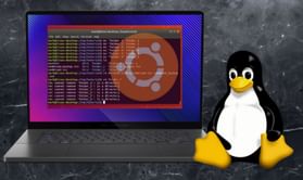 Essential Linux commands you should know in 2024