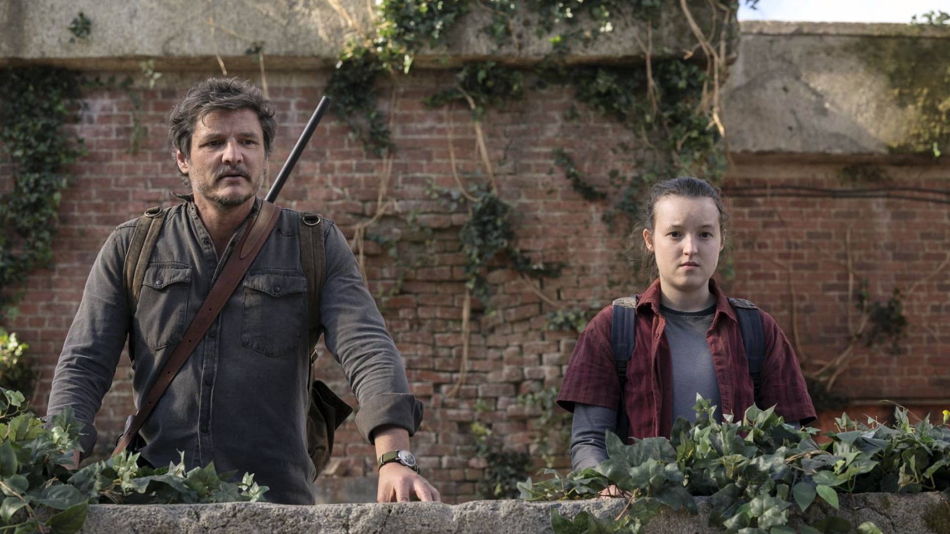 Pedro Pascal and Bella Ramsay were nominated for Golden Globe Awards (Image via IMDb and Liane Hendscher@HBO)