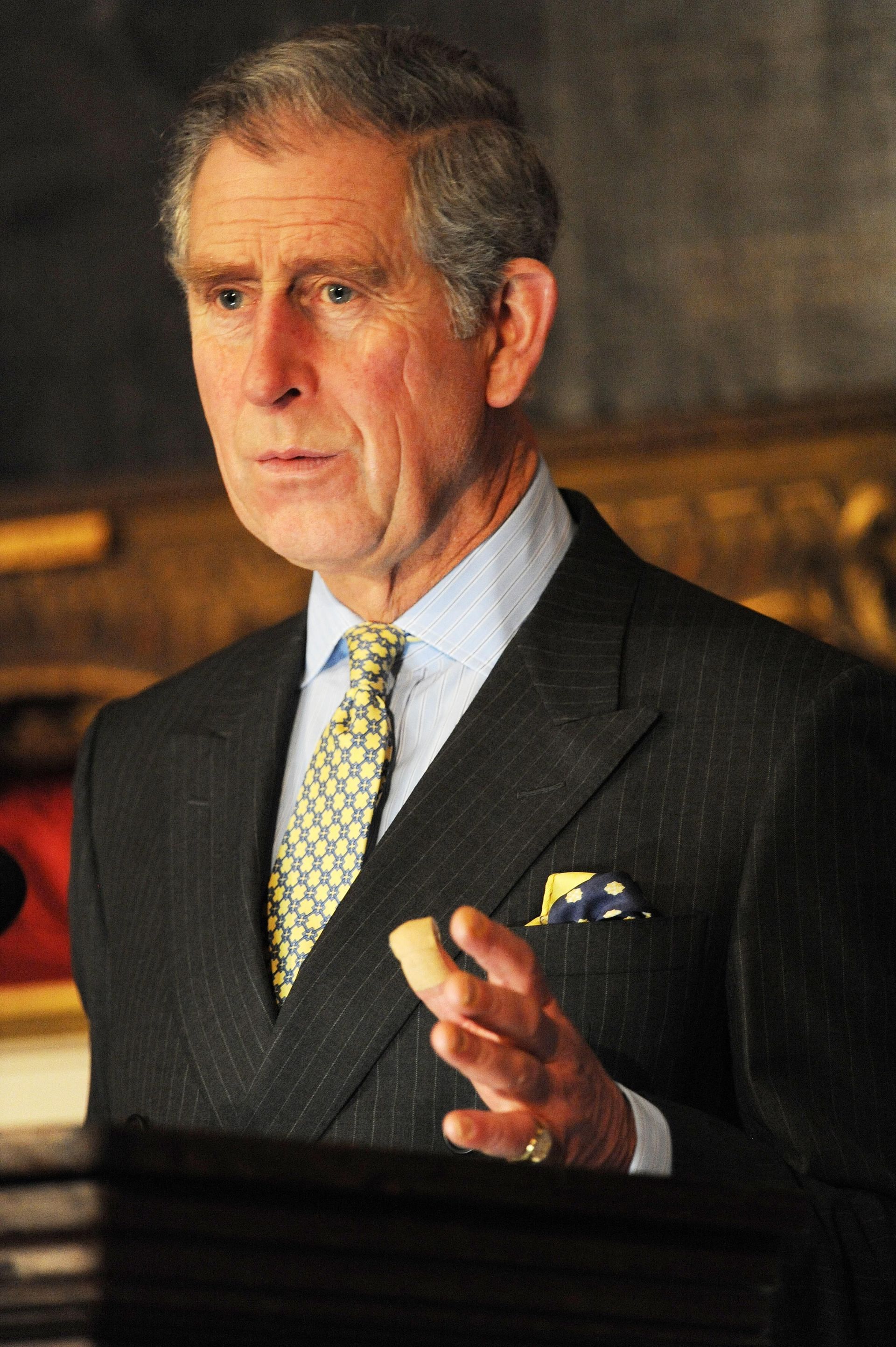 Prince Of Wales Speaks On Building Distinctive Places In Globalized World in 2008 (Image via Getty)