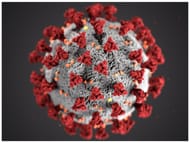 Antibacterial properties of this oil helps fight bacterial (Image via Unsplash)