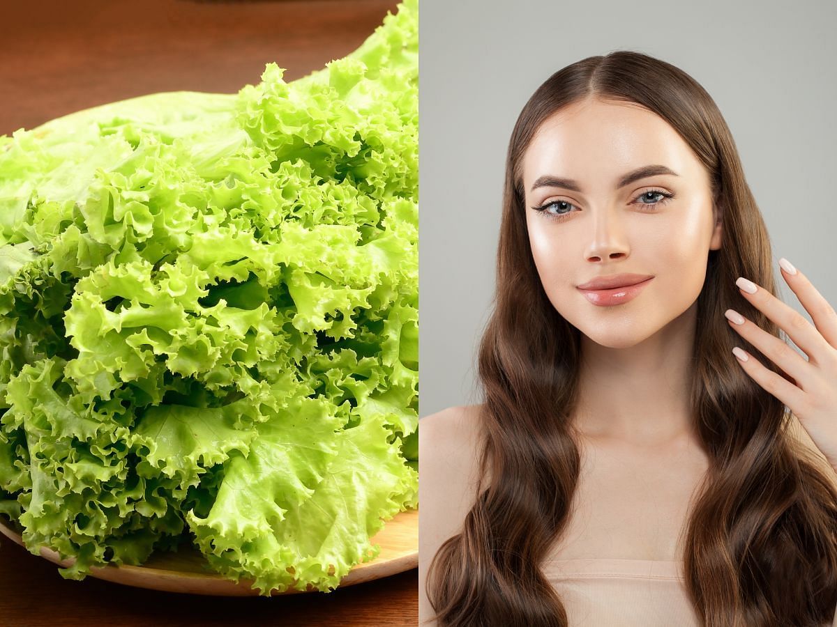 Benefits of lettuce for skin hair and health: Everything you need to know