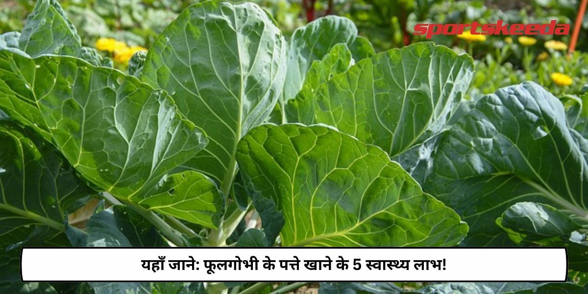 5 Health Benefits Of Eating Cauliflower Leaves!