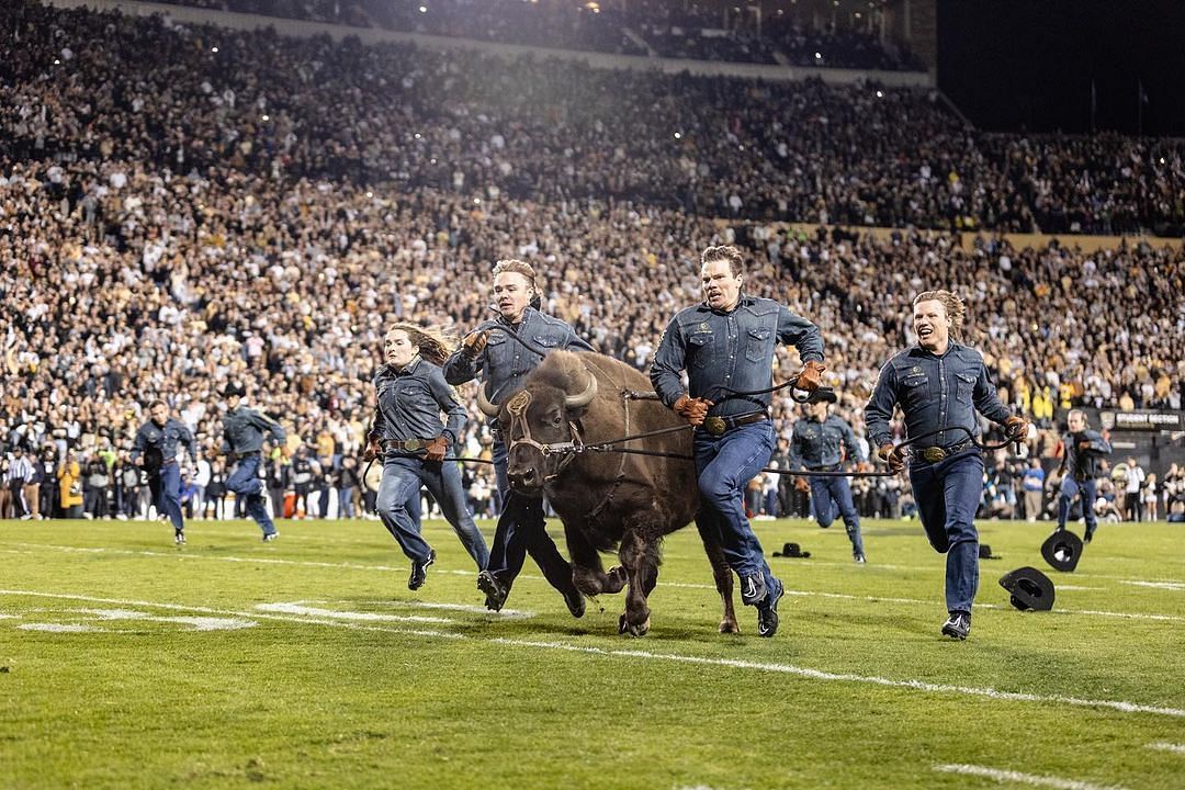 Colorado National Championship Wins