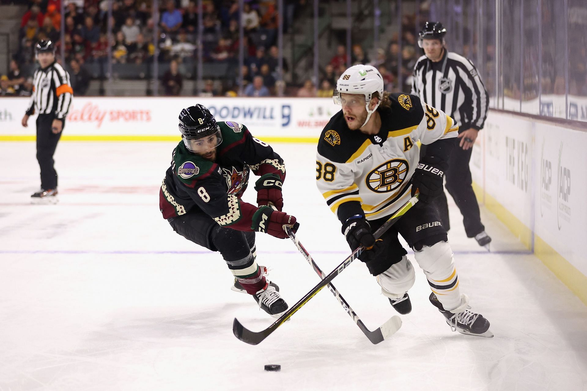 Boston Bruins v Arizona Coyotes