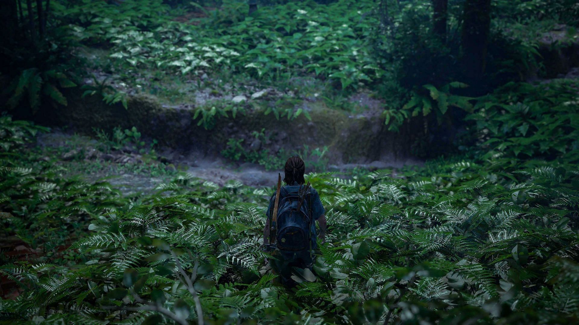 Here are five things to know before you start The Last of Us Part II. (Image via Sony Interactive Entertainment)