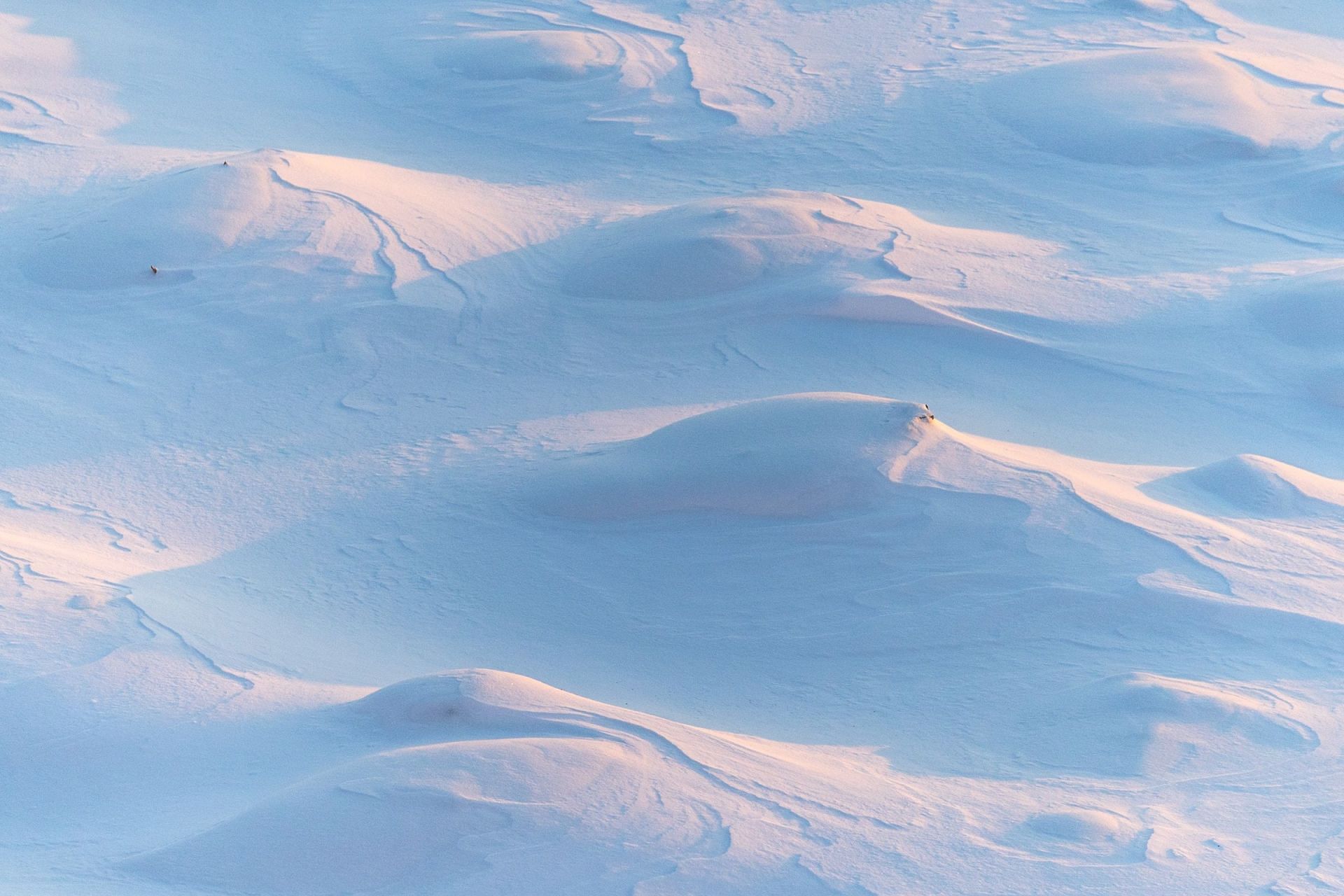 Is it safe to eat snow (Image via Unsplash/Ant Rozetsky)