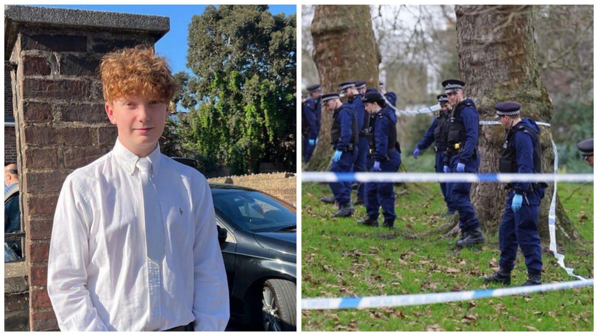 Harry Pitman, a 16-year-old school student was fatally stabbed during the New year