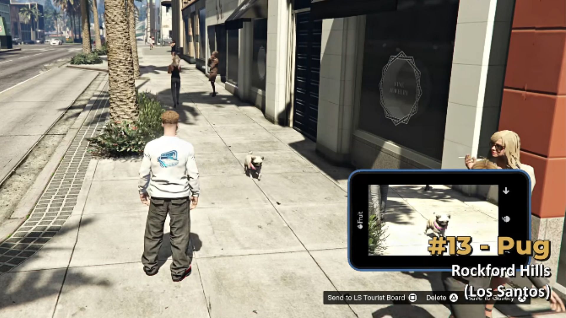 Take a picture of the Pug and send it to the LS Tourist Board for cash and RP (Image via YouTube/GTA Series Videos)
