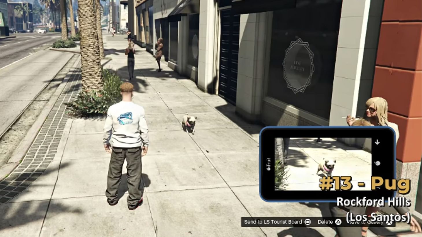 Take an animal/bird&#039;s picture and send it to the LS Tourist Board to earn rewards (Image via YouTube/GTA Series Videos)