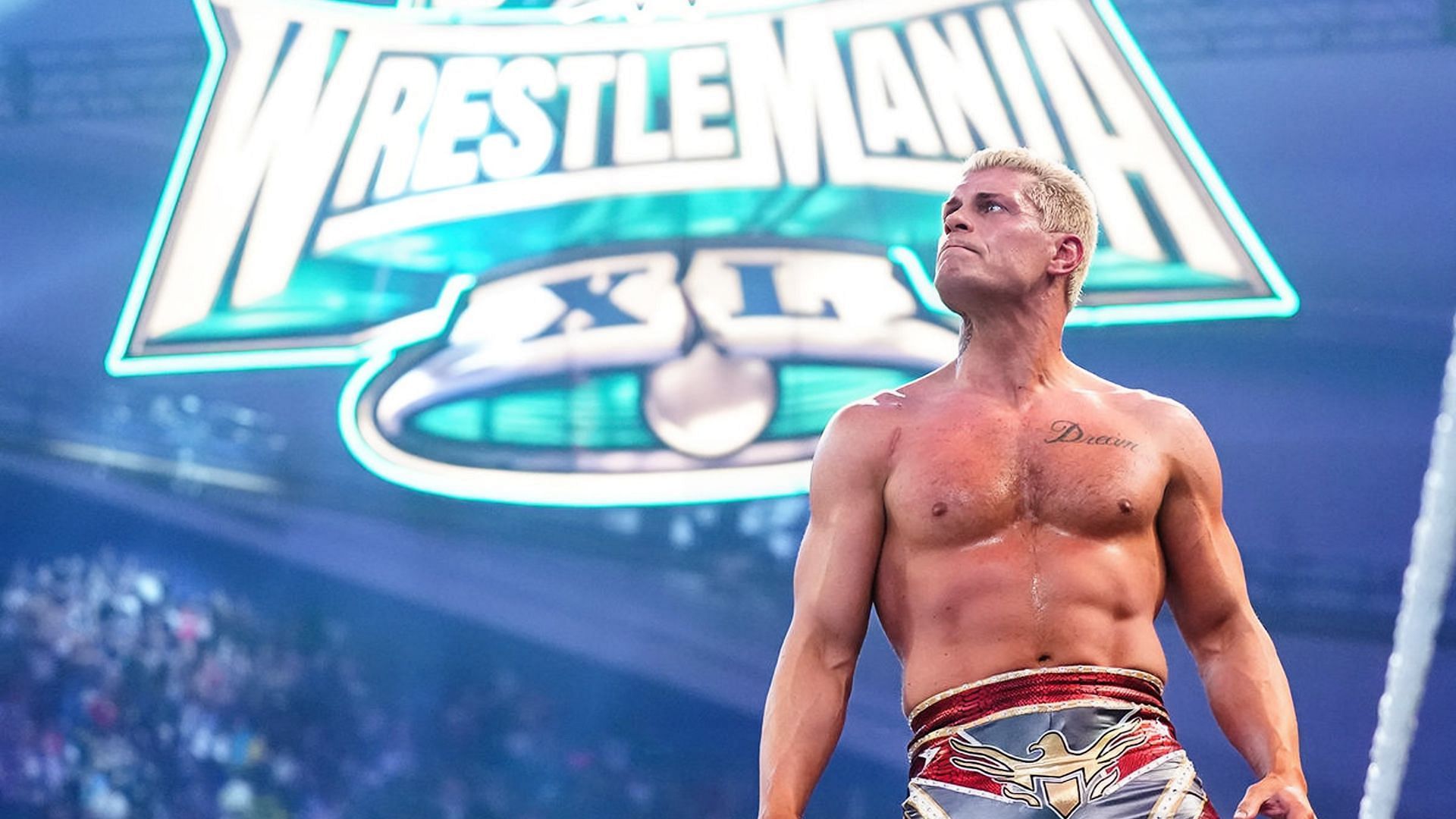 Cody Rhodes soaks in his victory at WWE Royal Rumble 2024