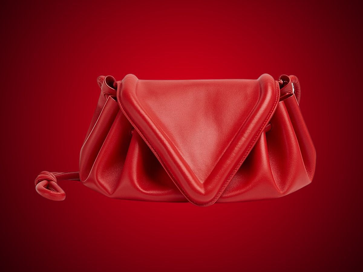 Beak Crossbody bag (Image via official website of the brand)