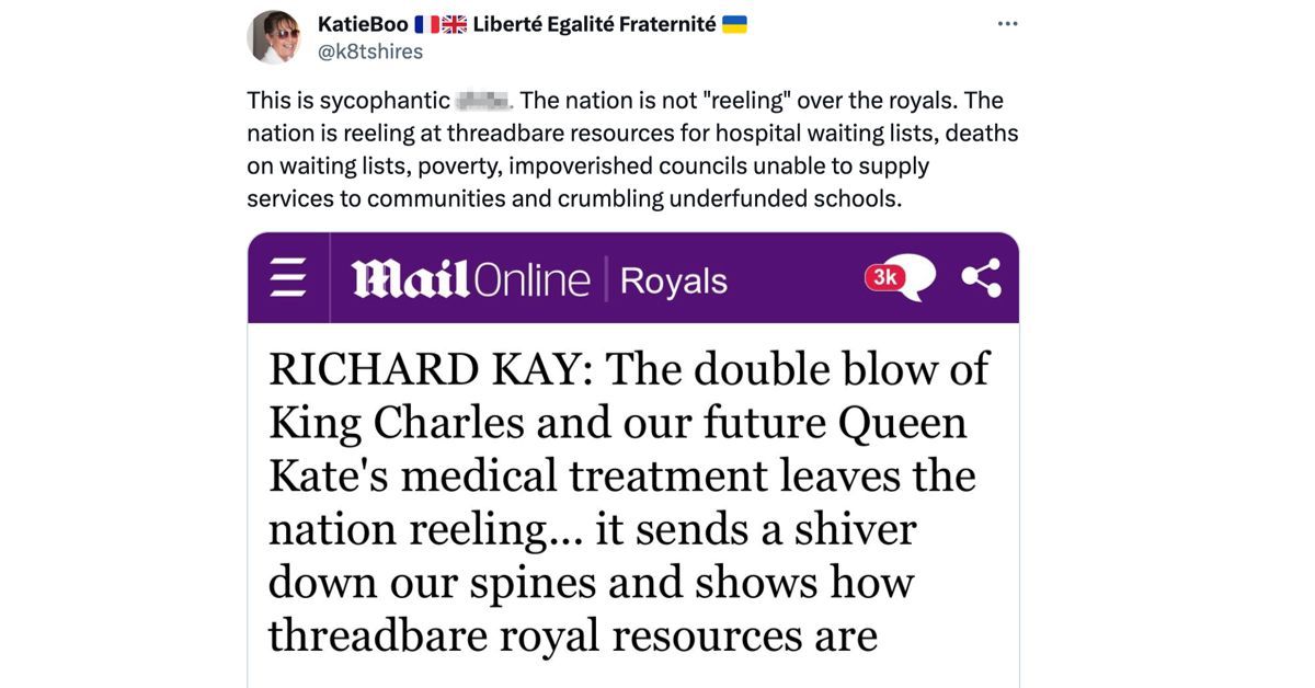 Netizens react to Richard Kay&#039;s op-ed (Image via X/@k8tshires)