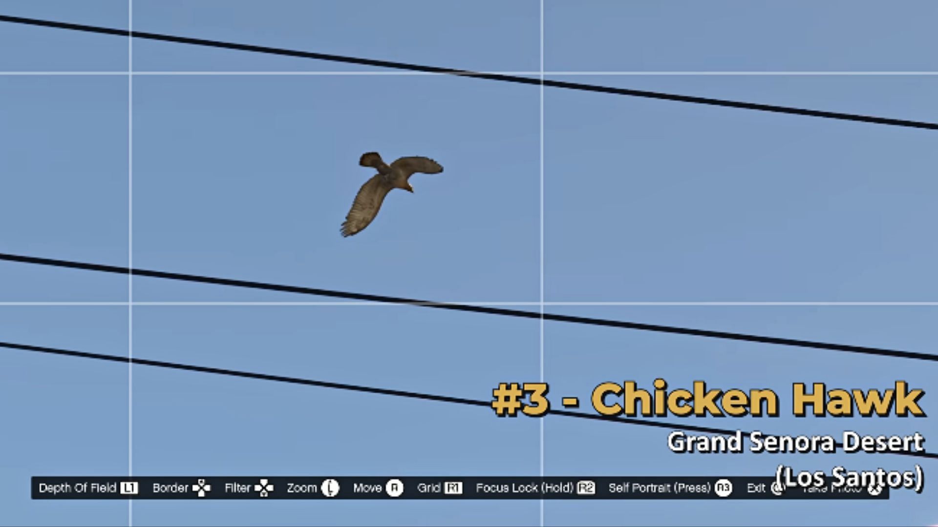 The Chicken Hawk flying in Blaine County&#039;s Grand Senora Desert (Image via YouTube/GTA Series Videos)