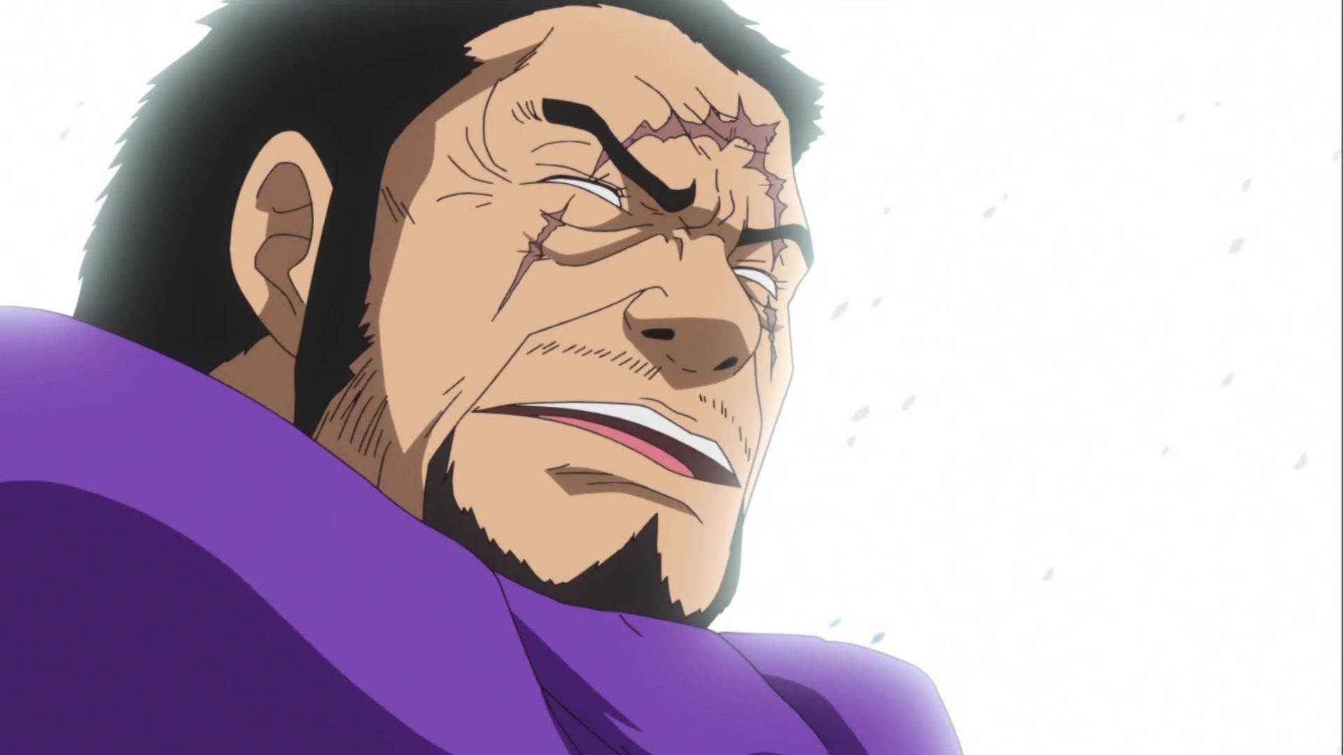 One Piece characters that should have conqueror&#039;s haki: Fujitora (Image via Toei Animation)