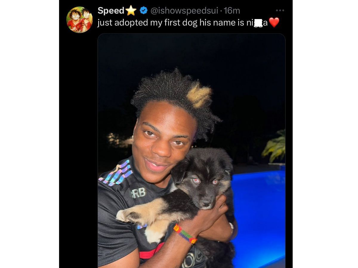 Streamer reveals what he named his puppy (Image via X/IShowSpeedsui)