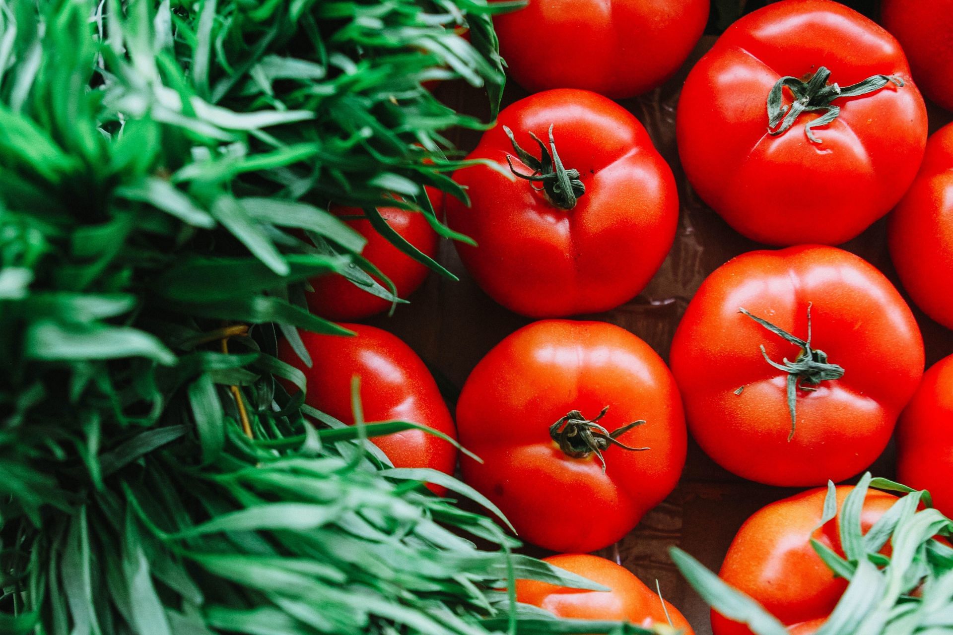 Importance of health benefits of heirloom tomatoes (image sourced via Pexels / Photo by rauf allahverdiyev)