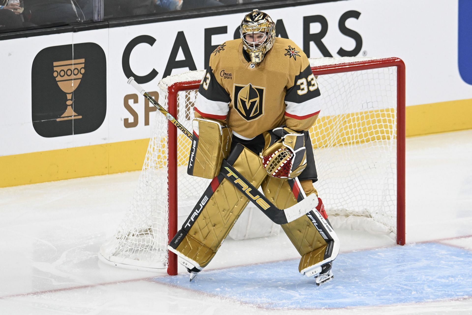Adin Hill of the NHL&#039;s Vegas Golden Knights