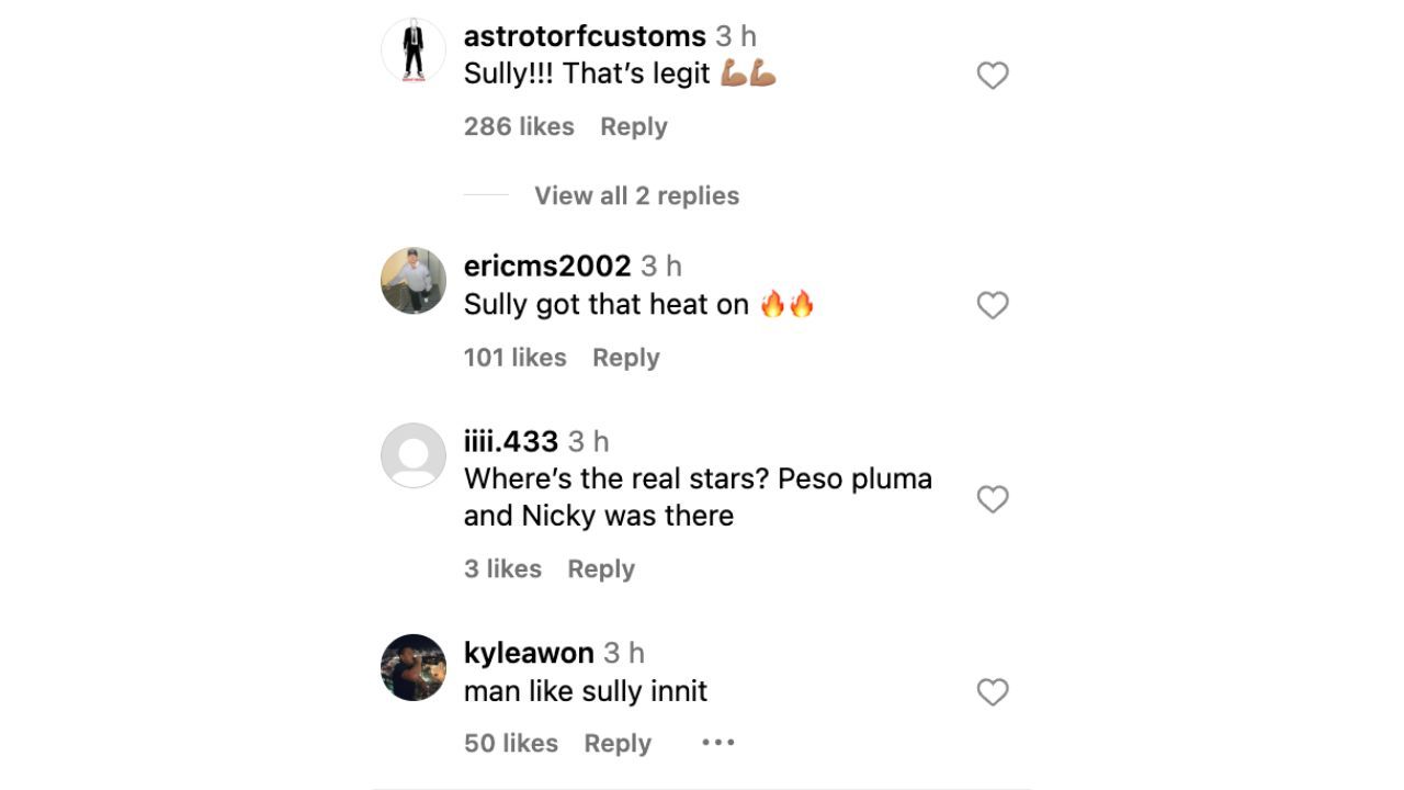 More Sully fans reacted to the post on Instagram