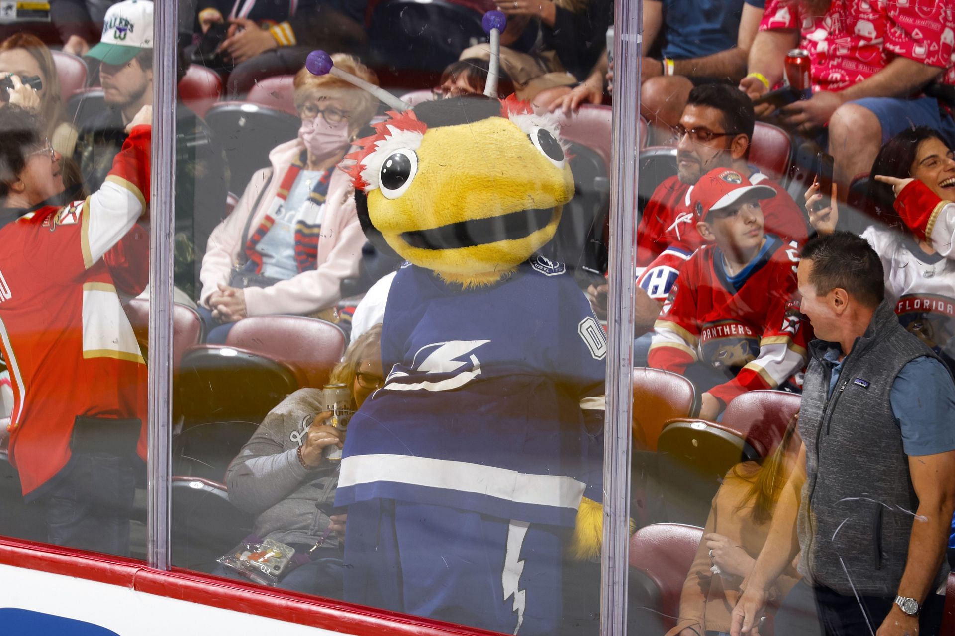 What animal is the Tampa Bay Lightning mascot? All we know about fan