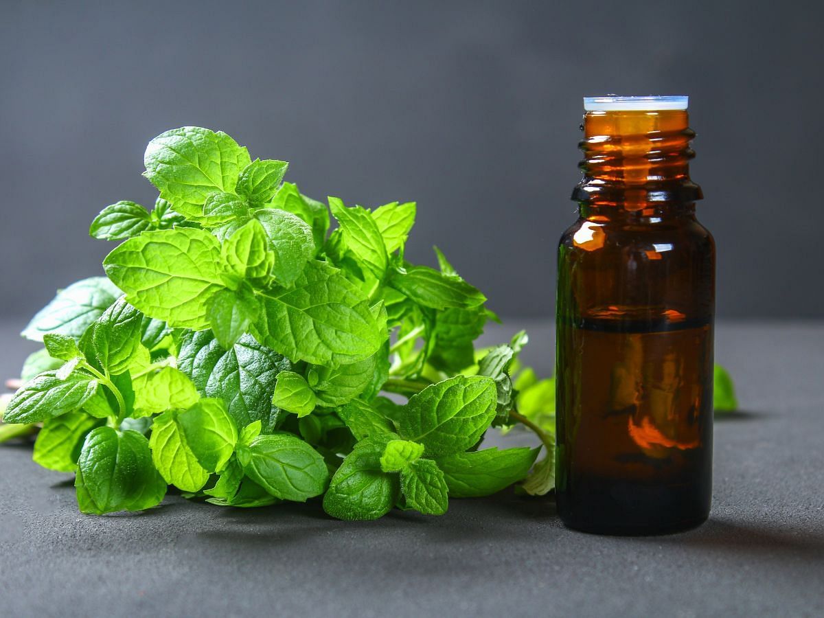 5 skin benefits of Peppermint oil