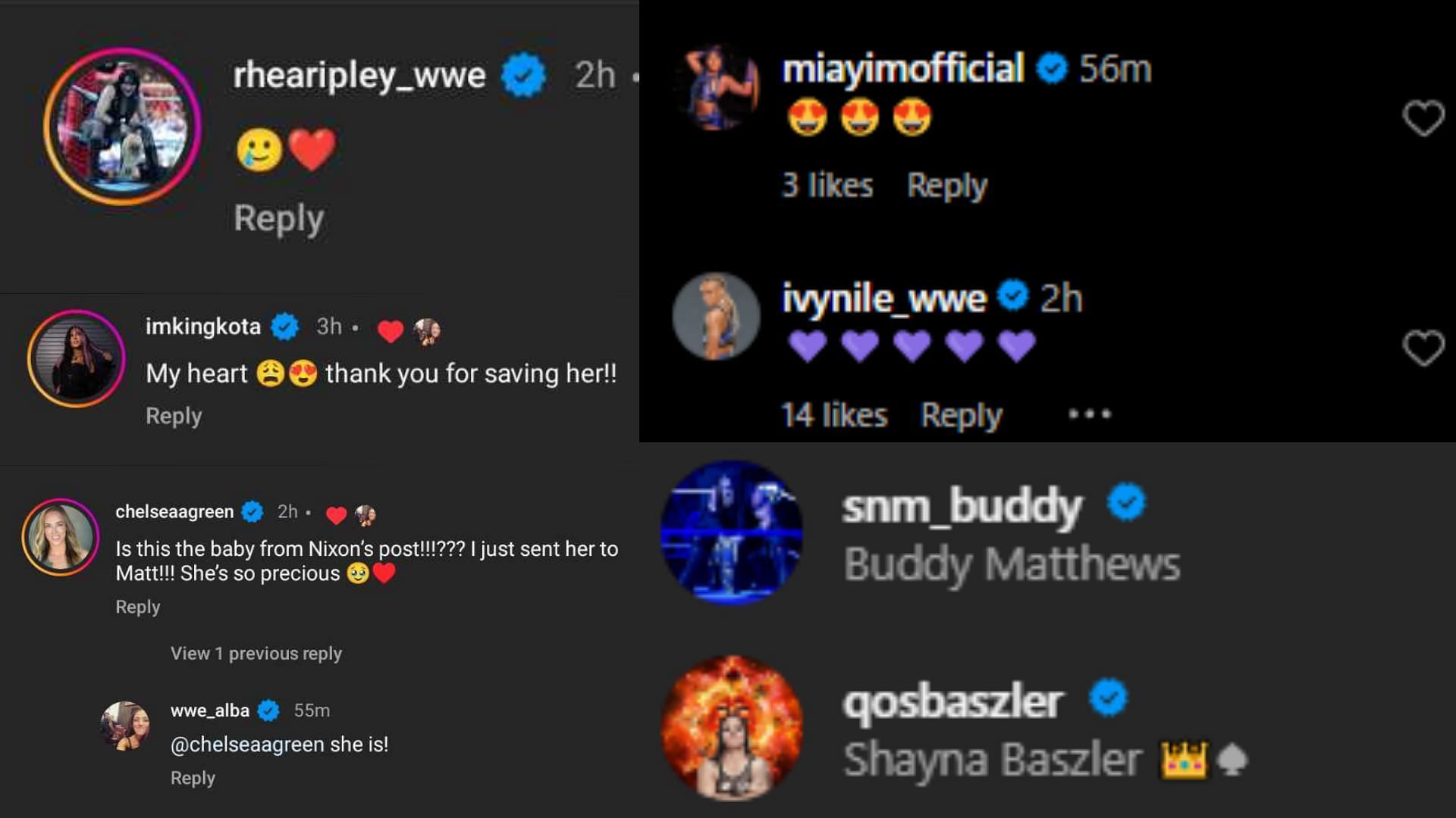 The comments were filled with love by Rhea Ripley, Chelsea Green, and other WWE and AEW stars