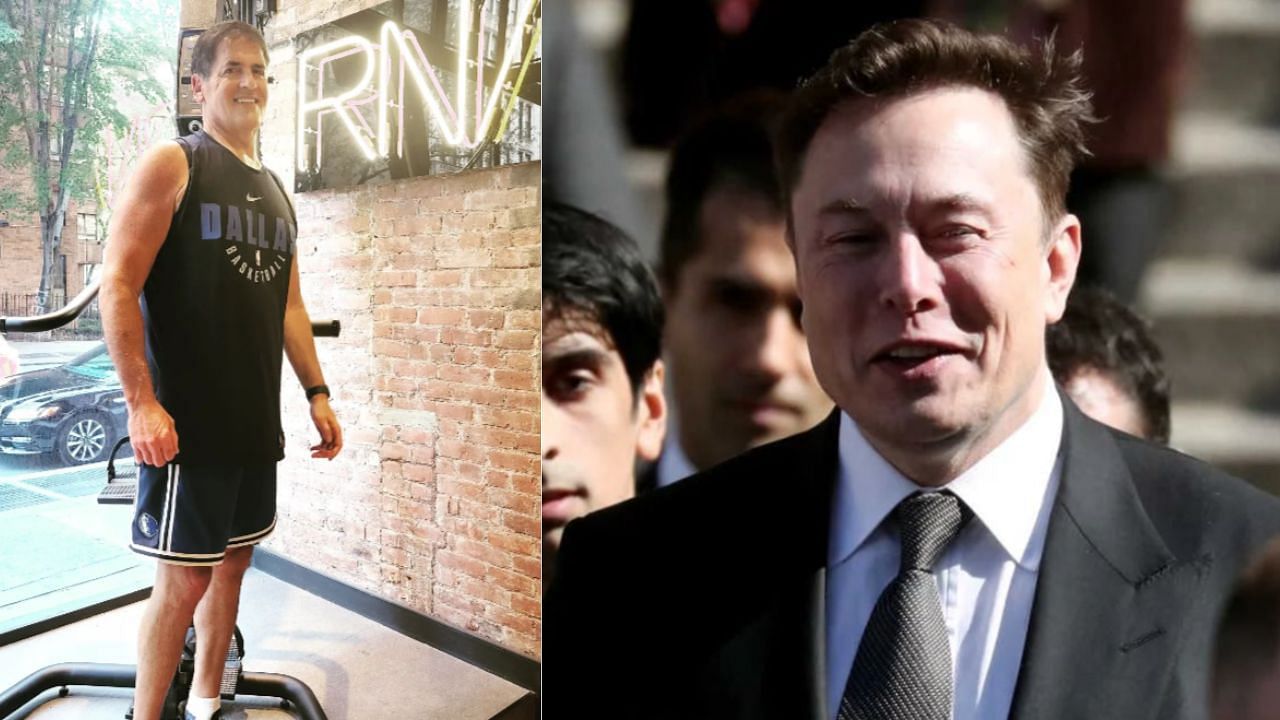 Elon Musk called Mark Cuban &quot;racist&quot; over DEI dispute.